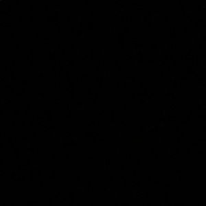 Meet your Posher, Maddie